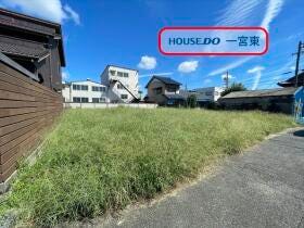 概観画像