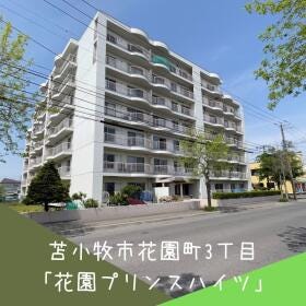 概観画像