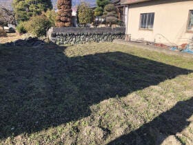 概観画像