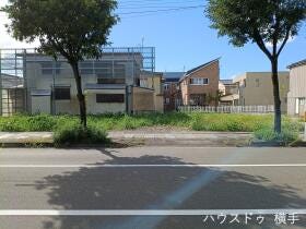 概観画像
