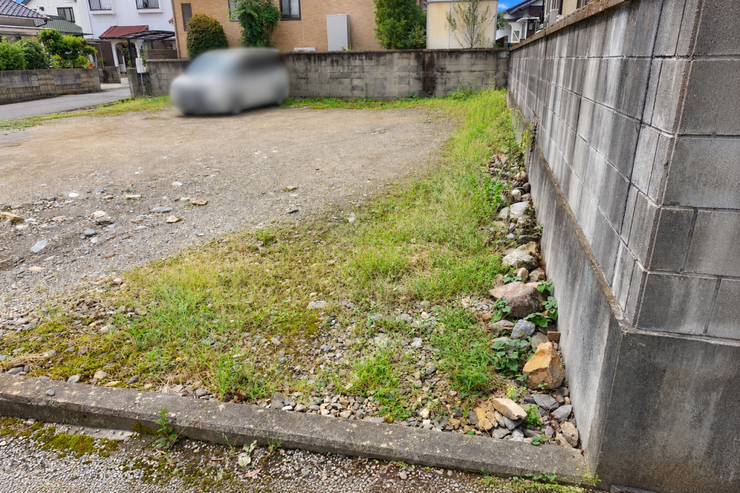 ※この画像はAI処理にて加工した写真です。