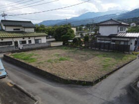 概観画像