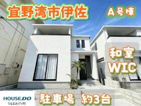 概観画像