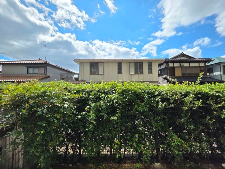一日中豊かな自然光が差し込む南向き