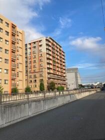 概観画像