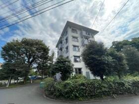 概観画像
