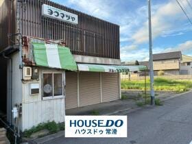 概観画像