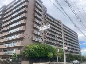 概観画像
