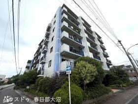 概観画像