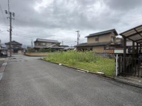 概観画像