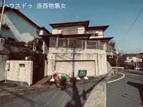 概観画像