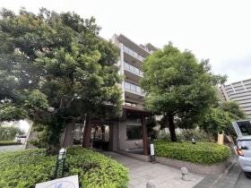 概観画像
