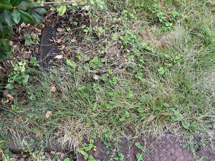 給水