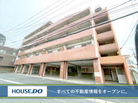概観画像