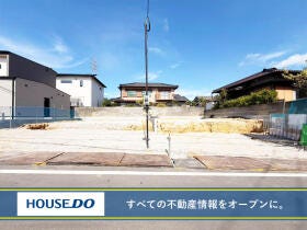 概観画像