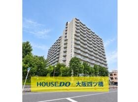 概観画像