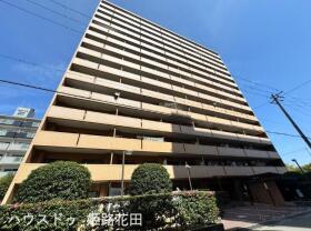 概観画像