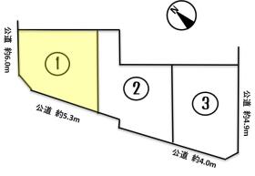 概観画像