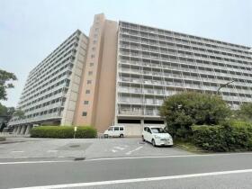 概観画像