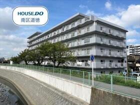 概観画像