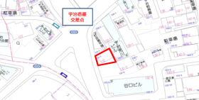 概観画像