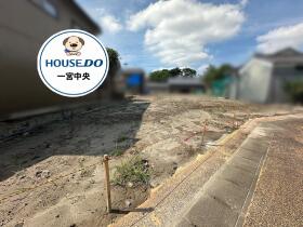 概観画像
