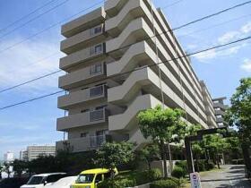 概観画像