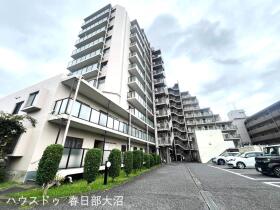 概観画像