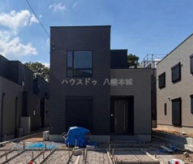 概観画像