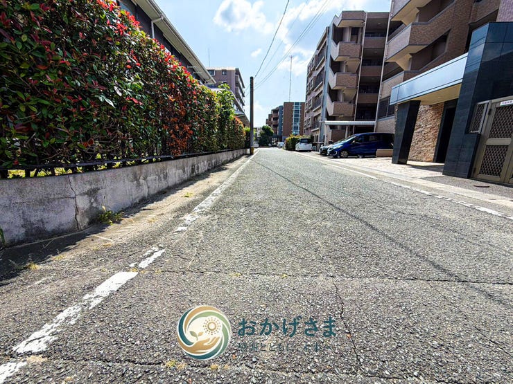 【周辺環境】
すっきりと舗装された前面道路は車の通りも少なく、緑豊かな植栽が並ぶ落ち着いた周辺環境です。