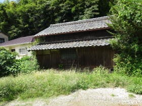 概観画像