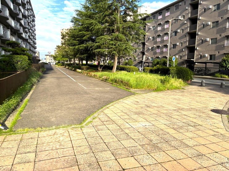 現地(2026年9月)撮影