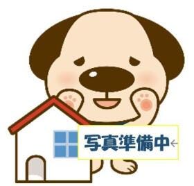 概観画像