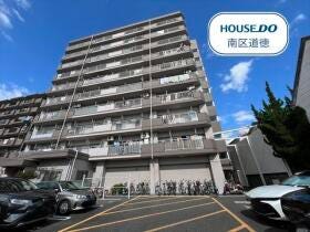 概観画像