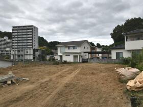概観画像