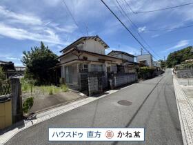 概観画像