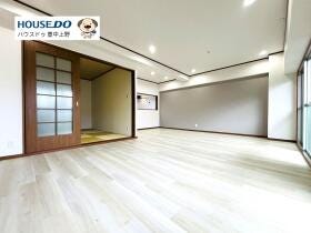 概観画像