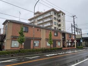 概観画像