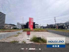 概観画像