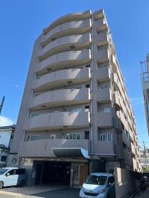 概観画像
