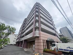 概観画像