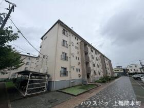 概観画像
