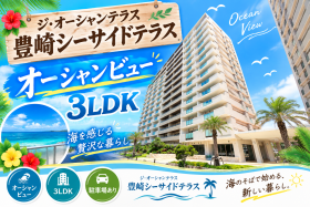 概観画像