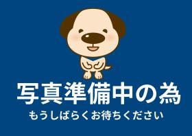 概観画像
