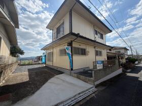 概観画像