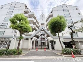 概観画像