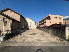 概観画像
