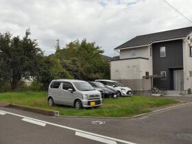 概観画像