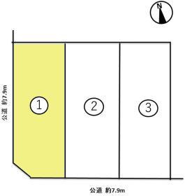 概観画像