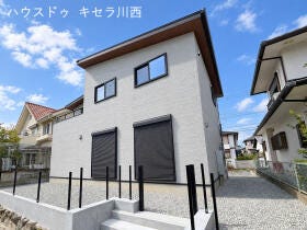概観画像